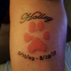 Meet your Posher, Dave